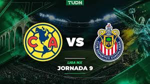 Canal 5 En Vivo