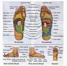 Resultado de imagen para reflexologia