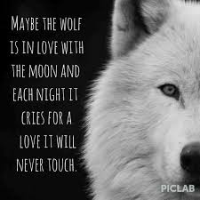 Wolf Quote | tattoos | Pinterest | Wolf Quotes, Wolves and Far Away via Relatably.com