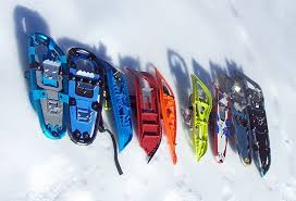 Image result for snowshoeing