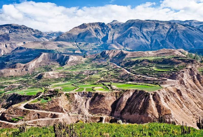 Colca Canyon