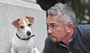 Cesar Milan with a dog - cesarmilan-364999