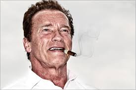 A.Schwarzenegger von <b>Mario Maindl</b> - aschwarzenegger-2f3da296-5ce4-49c8-8605-c0d5b8e107b4
