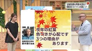 Yahoo!ニュース - News update