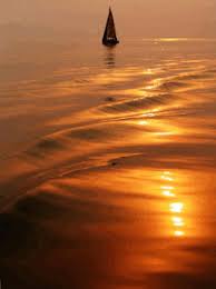 Resultado de imagen para fondos de pantalla animados gif