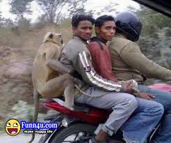 Image result for BOY PICS