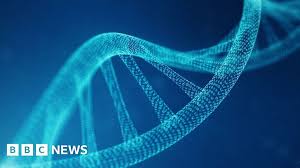 BBC - News update
