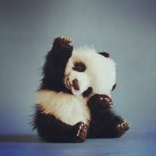 Resultado de imagen para imagenes cute