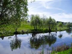 Image result for organisms and their environment