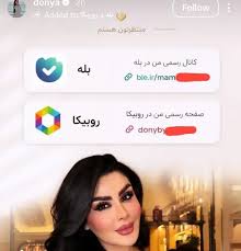 دنیا جهانبخت به روبیکا و بله آمد! واکنش کاربران چه بود؟|میل سخن