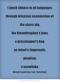 Great Wislawa Szymborska on Pinterest | Literatura, Polish and Poetry via Relatably.com