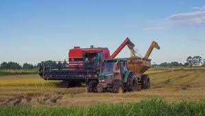 Produtores de arroz interrompem colheita por falta de diesel