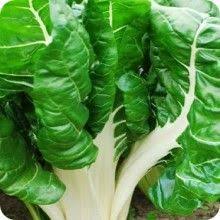 Image result for vegetable africa