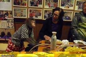 Bildergebnis für ‫اغرب مطعم في العالــــم‬‎