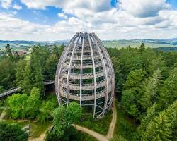 Bavarian Forest mountain Germany with treetop walk