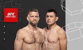 Meta MMA - News update