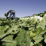  Maine restaurants improvise amid E. coli outbreak from romaine lettuce