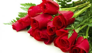 Резултат слика за dan žena