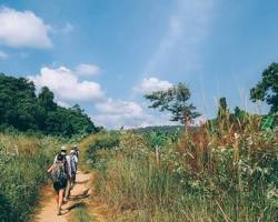 Image of Tourists hiking in Cardamom Mountains, Cambodia