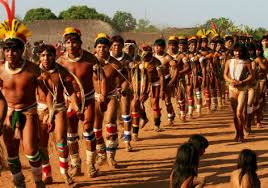 Resultado de imagem para indigenas