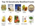 WHO Frequently asked questions on genetically modified foods