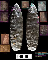 Paleoamerican Exploitation of Extinct Megafauna Revealed Through Immunological Blood Residue and Microwear Analysis, North and S