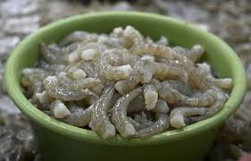 Rappel de crevettes radioactives