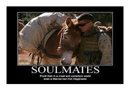 usmc quotes and sayings | MULES AND MARINES.....EVERYONE HAS A ... via Relatably.com