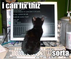 images?q=tbn:ANd9GcTxWDVLmmfEbczbFIrvB13lo4sVYjrwD59A8FpJpLiC3F0sXbXu