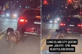 Heartless monster drags 2 dogs behind car in front of shocked NYC bystanders, disturbing video shows