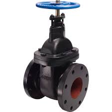 Legend Valve® T-301 Non-Rising Stem Gate Valve, Cast Iron, 5 ...