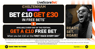 Sky Bet: Your Go-To for Cheltenham Gold Cup Betting Offers