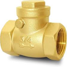 Amazon.com: Swing Check Valve, Bronze, 1 In., NPT