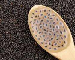Basil seeds