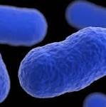 Gauteng Health calls cooperation tracing