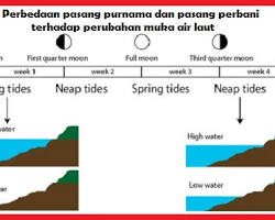 Gambar Pasang Surut Air Laut di Pelabuhan