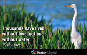 Water Quotes - BrainyQuote via Relatably.com