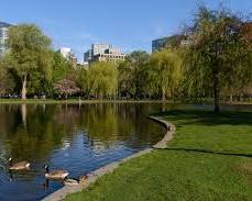 Immagine di Boston Common and Public Garden