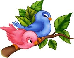 gentille petit oiseaux