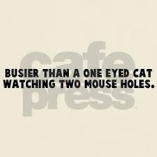 Men&#39;s Busier Than A Quotes T Shirts | Busier Than A Quotes Tees ... via Relatably.com