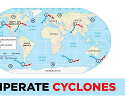 Temperate and tropical cyclones