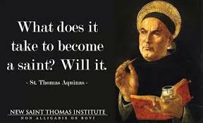 St thomas aquinas Quotes. QuotesGram via Relatably.com