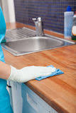 kitchen countertops CLEANER ile ilgili görsel sonucu
