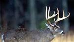  Fatal Deer Disease Confirmed In Mississippi