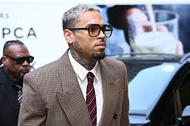 Chris Brown Housekeeper Dog Attack Verdict