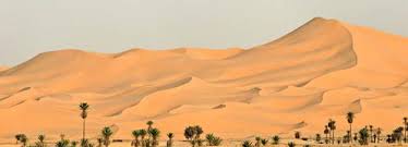 Résultat de recherche d'images pour