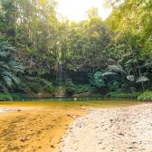 Taman Negara Bukit Lambir