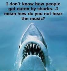 Shark week:) on Pinterest | Sharks, Great White Shark and Shark ... via Relatably.com