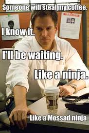 Afbeeldingsresultaat voor michael weatherly memes