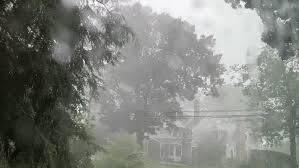 'Potent' Morning Thunderstorms Bring Tree Down in Northern New Jersey
